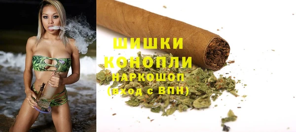 ПСИЛОЦИБИНОВЫЕ ГРИБЫ Осинники