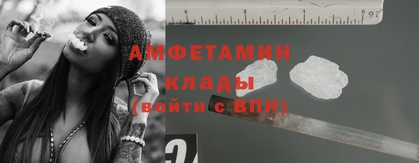крисы Няндома