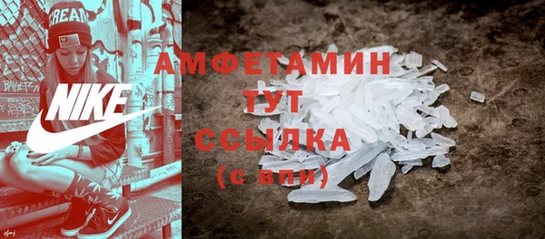 ПСИЛОЦИБИНОВЫЕ ГРИБЫ Осинники