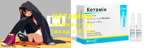 крисы Няндома