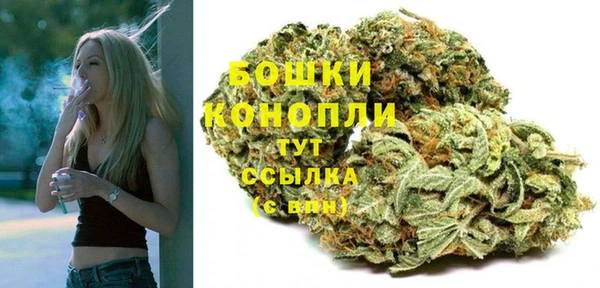 крисы Няндома
