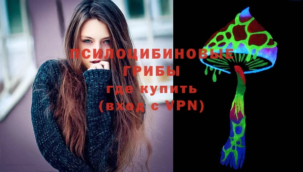 крисы Няндома