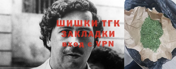 крисы Няндома