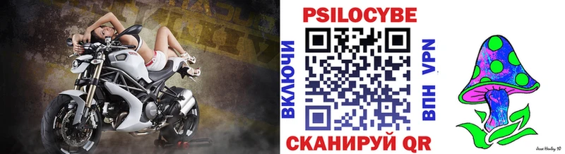 МЕГА зеркало  Западная Двина  Галлюциногенные грибы мухоморы  цена наркотик 