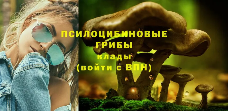 Псилоцибиновые грибы Magic Shrooms Западная Двина